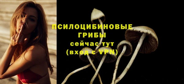 круглые Балахна