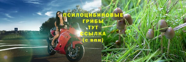меф Баксан