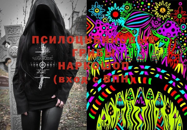 шишки Балабаново