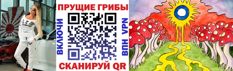 Галлюциногенные грибы MAGIC MUSHROOMS  где купить   Сокол 