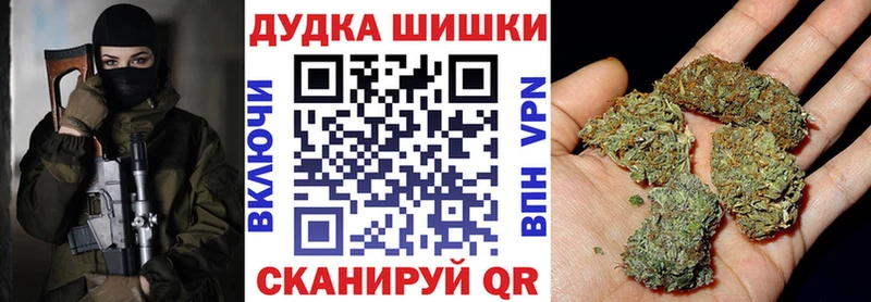 Канабис сатива  Сокол 